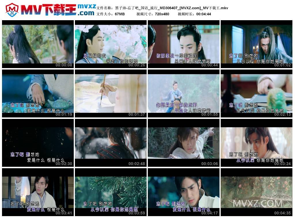 黑子沛-忘了吧_国语_流行_MD306407